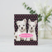 二重悩みの双生児の子犬の郵便はがき ポストカード (スタンド正面)