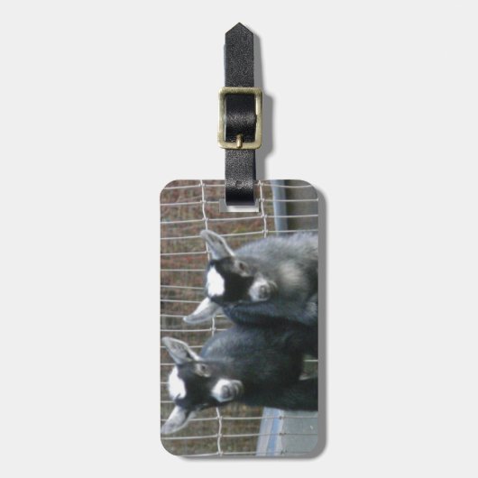 二重悩み ラゲッジタグ (正面縦)