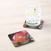 二重歓喜は上がりました コースター (右側)