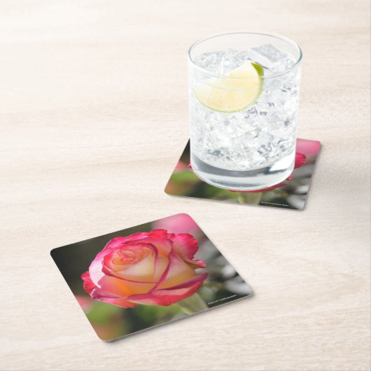 二重歓喜は上がりました スクエアペーパーコースター (インサイチュ)