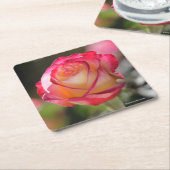 二重歓喜は上がりました スクエアペーパーコースター (アングル)