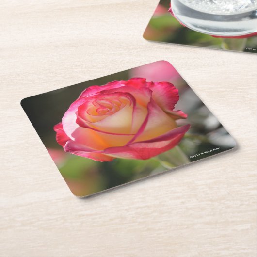 二重歓喜は上がりました スクエアペーパーコースター (アングル)