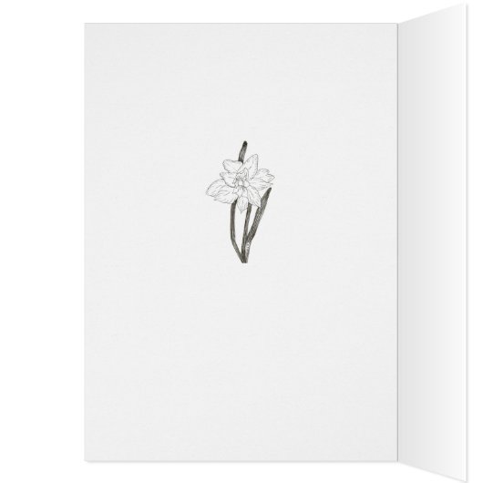 二重水仙 (内側 (左))