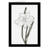 二重水仙 (正面)