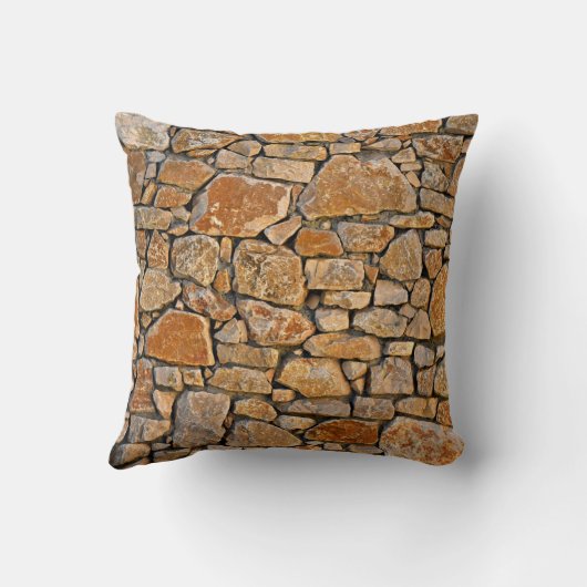 二重石壁 クッション (裏面)