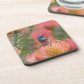 二重素晴らし色サンバード コースター (左側)