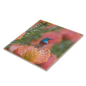 二重素晴らし色サンバード タイル (側面)