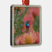 二重素晴らし色サンバード メタルオーナメント (右)