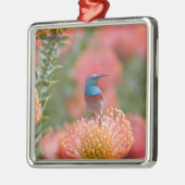 二重素晴らし色サンバード メタルオーナメント (左)