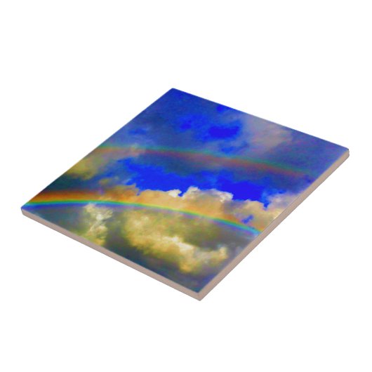 二重虹の視野 タイル (側面)