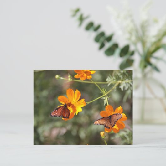 二重蝶 ポストカード (スタンド正面)