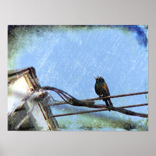 二重視 ポスター (正面)