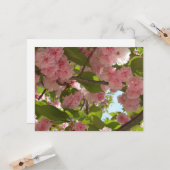 二重開花さくらんぼツリーIII春フローラ カード (正面/裏面インサイチュ)