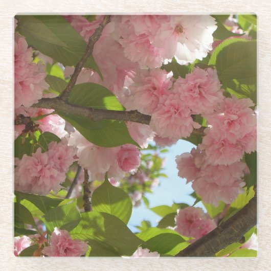 二重開花さくらんぼツリーIII春フローラ ガラスコースター (正面)