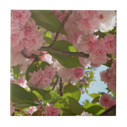 二重開花さくらんぼツリーIII春フローラ タイル (正面)