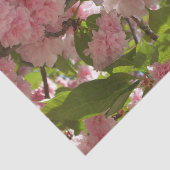 二重開花さくらんぼツリーIII春フローラ 薄葉紙 (詳細)