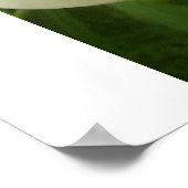 二重露出カラリリー ポスター (角)