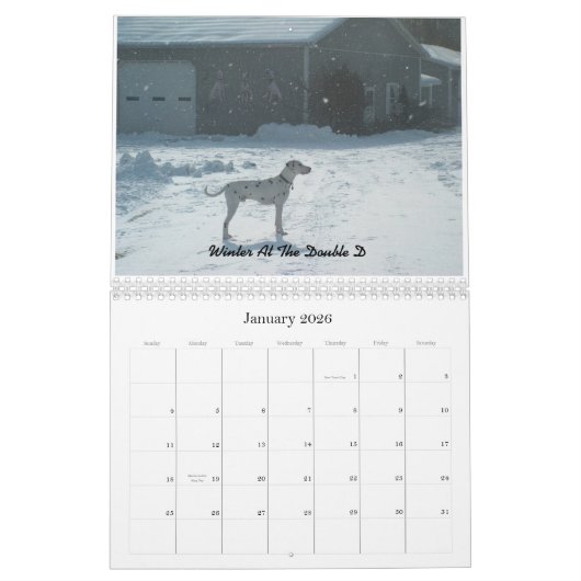 二重D-のダルマチア人2010年 カレンダー (1月 2026)