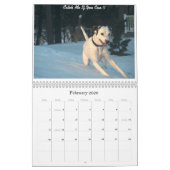 二重D-のダルマチア人2010年 カレンダー (2月 2026)