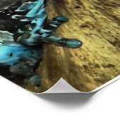 二頭のぶら下がったカエルの出プリント ポスター (角)