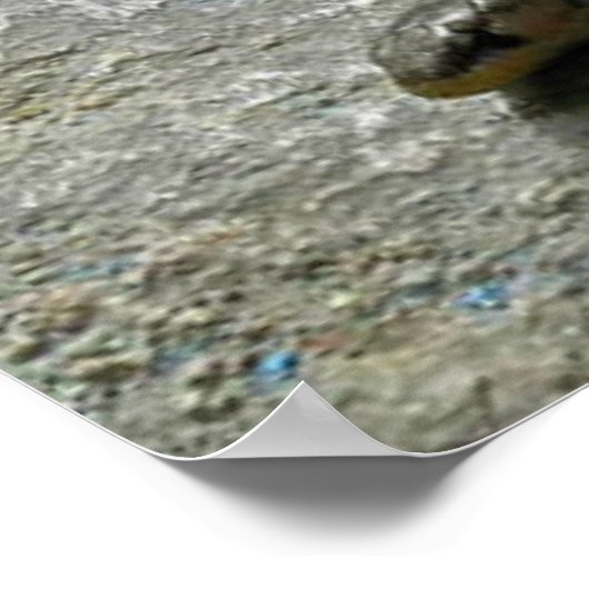 二頭のヘビ ポスター (角)