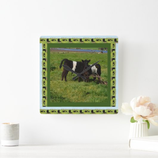 二頭のベルト付きのハロウェイ子牛が額縁に入っていた スクエア壁時計 (ホーム)