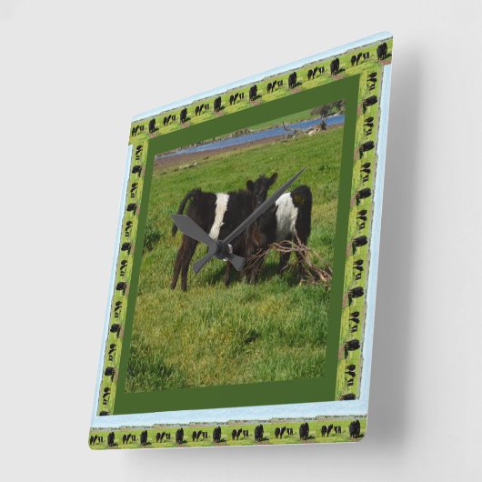 二頭のベルト付きのハロウェイ子牛が額縁に入っていた スクエア壁時計 (傾斜)