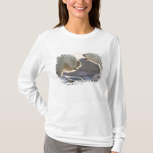 二頭のホッキョクグマ Tシャツ (正面)