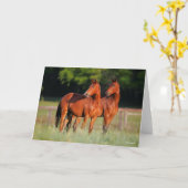 二頭のワルムブロドの馬が野原に立っている カード (黄色い花)