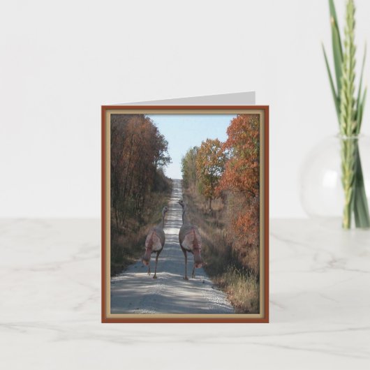 二頭の七面鳥 シーズンカード (正面)