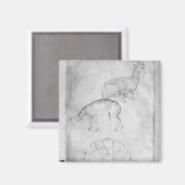 二頭の亀、山羊 マグネット (正面/裏面)