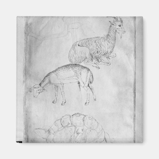 二頭の亀、山羊 マグネット (正面)