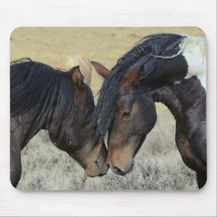 二頭の茶色の野生の馬が鼻をつつく マウスパッド
