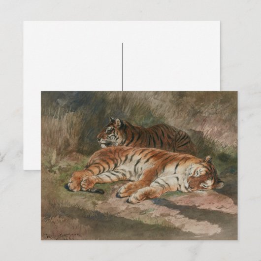 二頭の虎（1887年） ポストカード (正面/裏面)