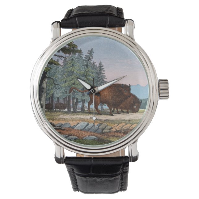 二頭の野生の牛。彩色リトグラフ 腕時計 (正面)