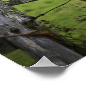 二頭の馬がオフの農場のフェンスの近くに立つ ポスター (角)