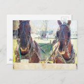 二頭の馬のアミッシュチーム ポストカード (正面/裏面)