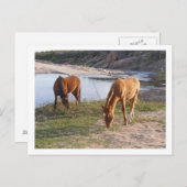 二頭の馬 ポストカード (正面/裏面)
