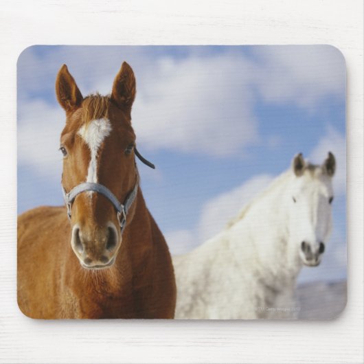 二頭の馬 マウスパッド (正面)