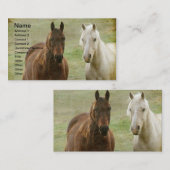 二頭の馬 名刺 (正面/裏面)
