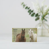 二頭の馬 名刺 (スタンド正面)