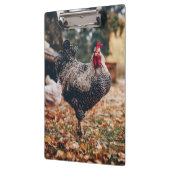 二頭の鶏を自然にした白黒のオンドリ クリップボード (左)