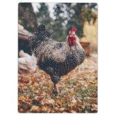 二頭の鶏を自然にした白黒のオンドリ クリップボード (裏面)