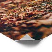 二頭の鶏を自然にした白黒のオンドリ ポスター (角)