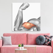 二頭筋を示す曲げた腕のイラストレーション キャンバスプリント (インサイチュ (リビング))