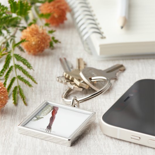 二頭筋- brachii キーホルダー (側面)