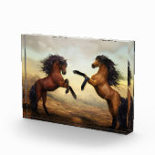 二頭飼育 フォトブロック (右)