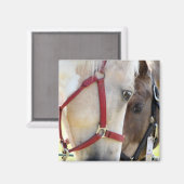 二頭馬マグネット マグネット (正面/裏面)