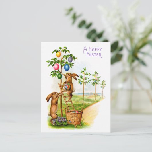 二飾の兎 ポストカード (スタンド正面)