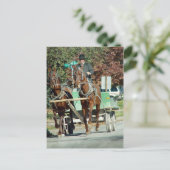 二馬隊 ポストカード (スタンド正面)